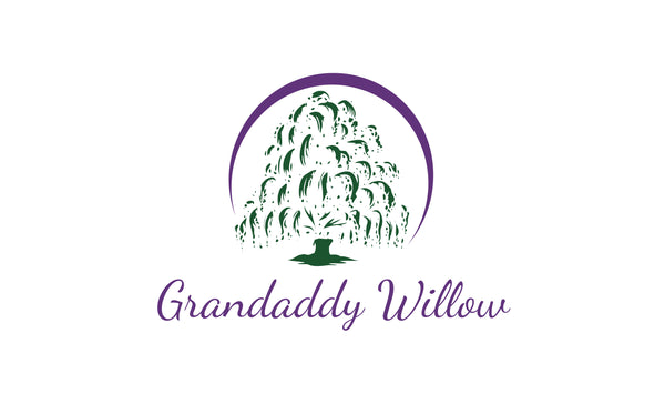 Grandaddy Willow
