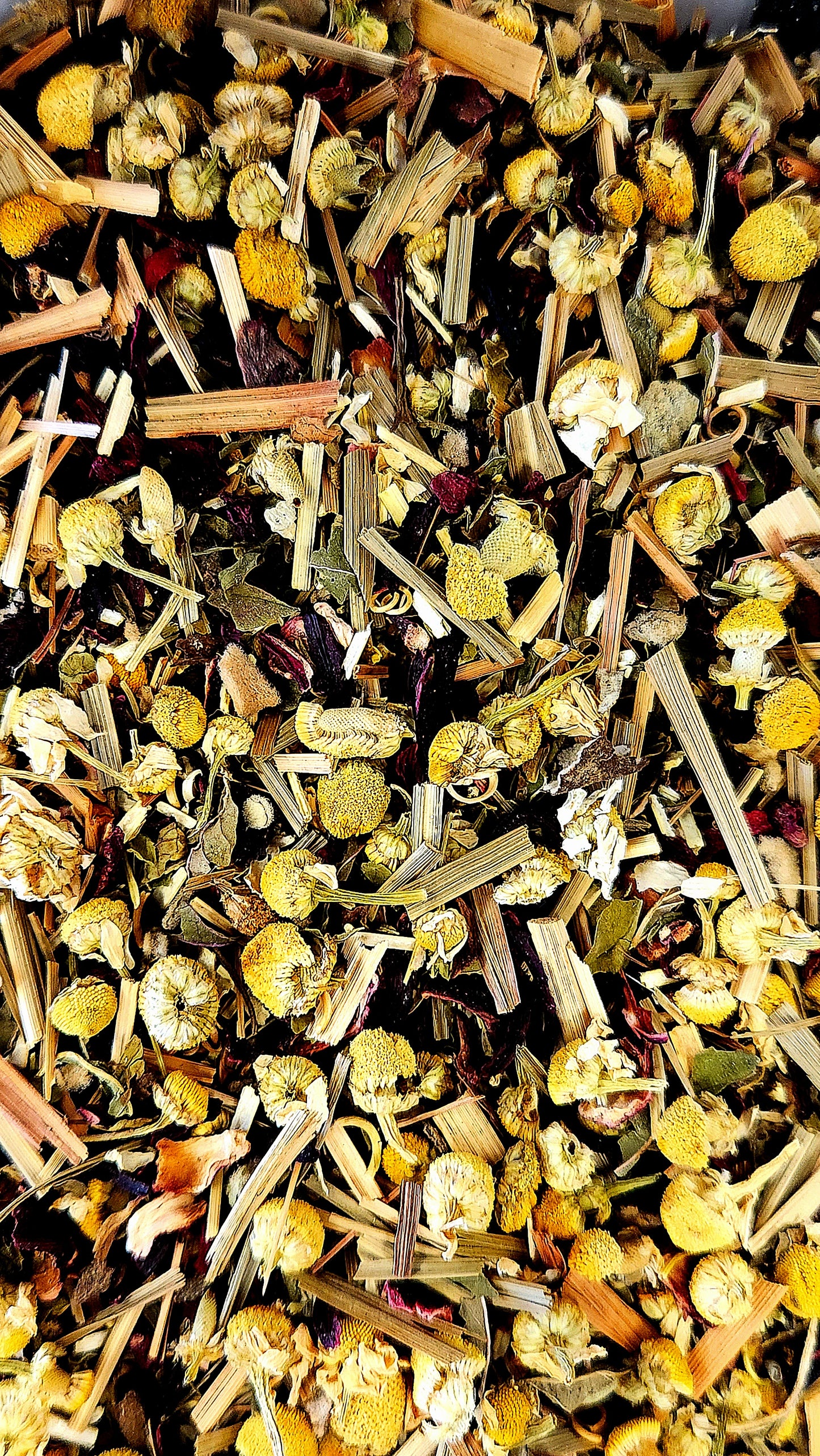 Hibiscus Lullaby