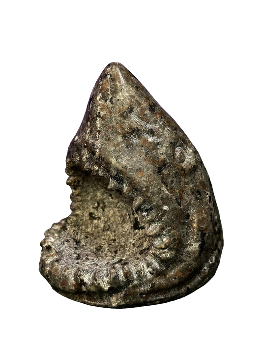 Large Yooperlite Shark Head Carving