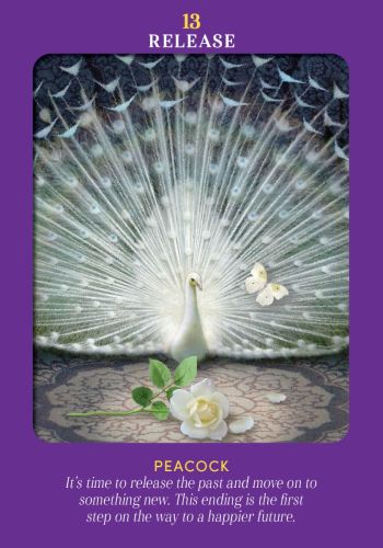 Animal Guides Tarot