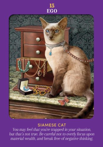 Animal Guides Tarot