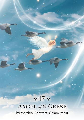 Angels of Nature Oracle